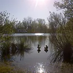 Camping Du Vivier Aux Carpes Campeggio *