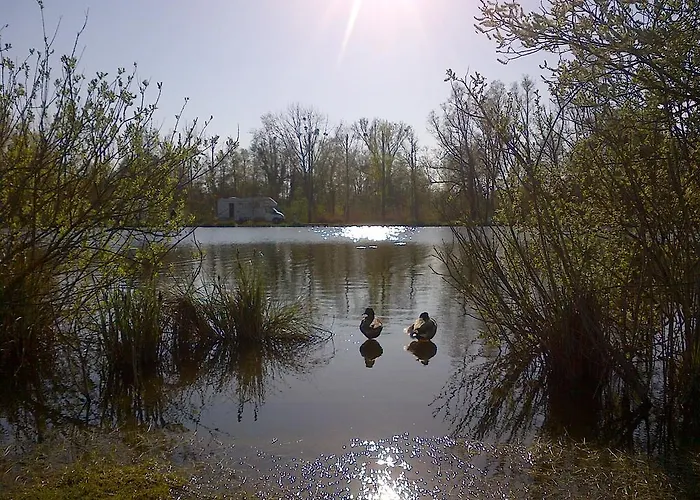 Camping Du Vivier Aux Carpes Campsite *