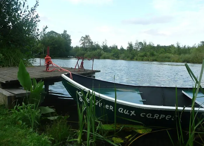 Camping Camping Du Vivier Aux Carpes *