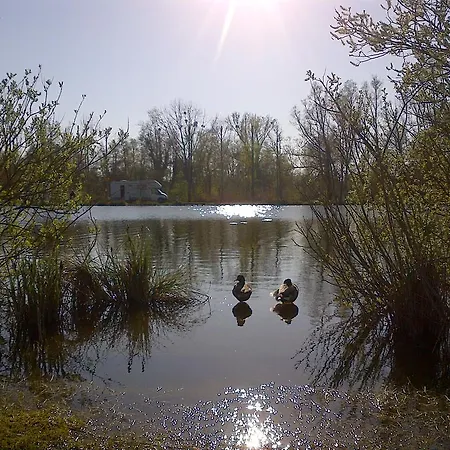 Camping Du Vivier Aux Carpes Кемпинг *